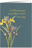 I will miss you, hospice, final goodbye, floral, irises card