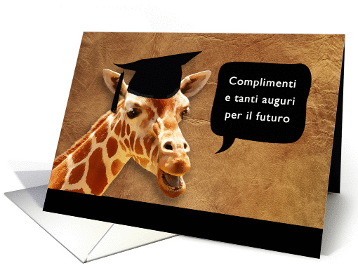 congratulazioni per la laurea, Congratulations on... (1076144)
