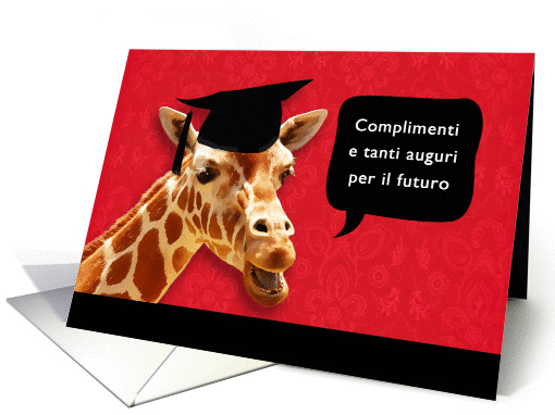 congratulazioni per la laurea, Congratulations on... (1076150)