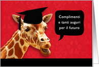 congratulazioni per la laurea, Congratulations on graduating, Italian card