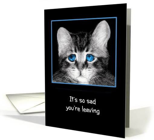 It's so sad you're leaving, I'll miss you! Sad blue-eyed kitten card
