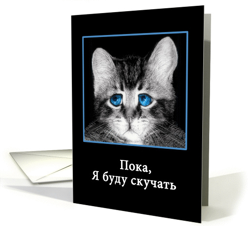Goodbye, I will miss you in Russian, sad blue-eyed kitten card