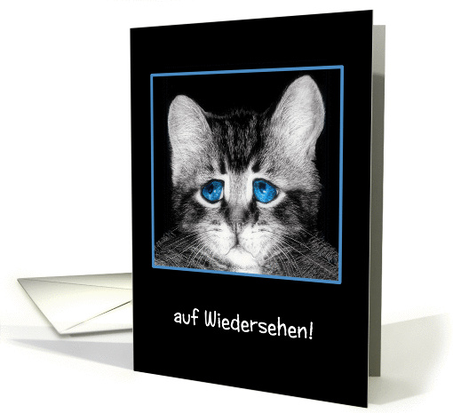 Goodbye, I will miss you in German, sad blue-eyed kitten card