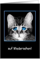 Goodbye, I will miss you in German, sad blue-eyed kitten card