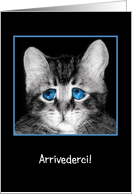 Goodbye, I will miss you in Italian, sad blue-eyed kitten card