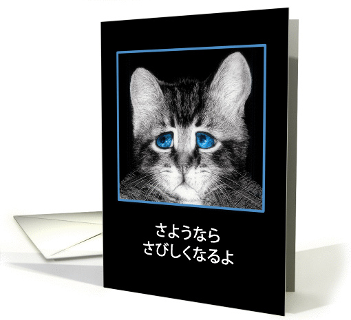 Goodbye, I will miss you in Japanese, sad blue-eyed kitten card