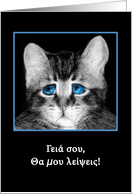 Goodbye, I will miss you in Greek, sad blue-eyed kitten card