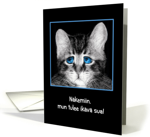 Goodbye, I will miss you in Finnish, sad blue-eyed kitten card