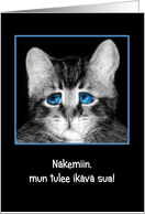 Goodbye, I will miss you in Finnish, sad blue-eyed kitten card