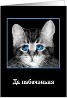 Goodbye in Belarusian, sad blue-eyed kitten card