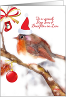 Merry Christmas to my Step Son and Daughter-in-Law, robin card