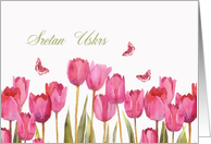 Happy Easter in Croatian, Sretan Uskrs, tulips, butterflies card