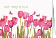 Easter Blessings to my son, scripture, pink tulips card