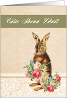 Happy Easter in Irish Gaelic, Cisc Shona Dhuit, vintage bunny card