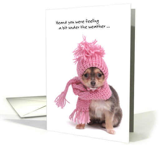 Get well soon, cute dog with scarf card (1216958)