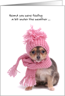 Get well soon, cute dog with scarf card