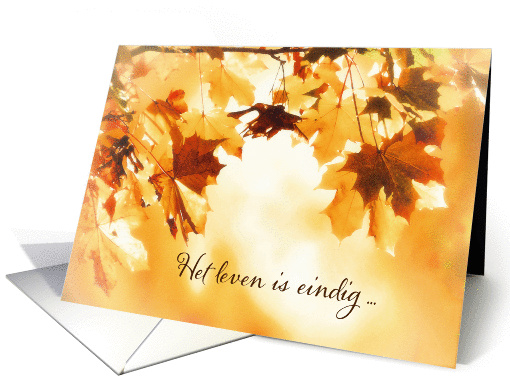 With deepest Sympathy in Dutch, Card, Autumn leaves card (1285766)