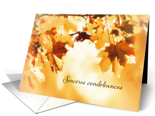 With deepest Sympathy in French, Card, Autumn leaves card (1285786)