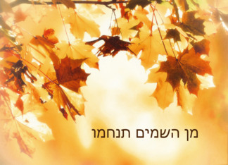 With deepest Sympathy in Hebrew (religious Sephardic) Autumn leaves