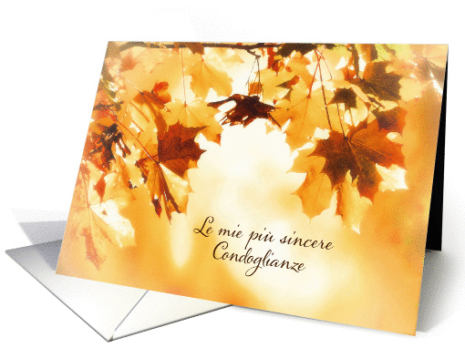 With deepest Sympathy in Italian, Autumn leaves card (1285908)