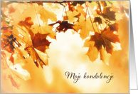 With deepest Sympathy in Polish, Autumn leaves card