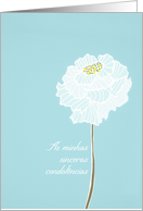 With deepest Sympathy in Portuguese, delicate white flower card