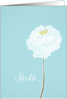 With deepest Sympathy in Dutch, delicate white flower card