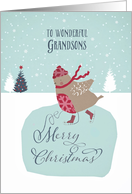 To my wonderful grandsons, Christmas card, skating robin card