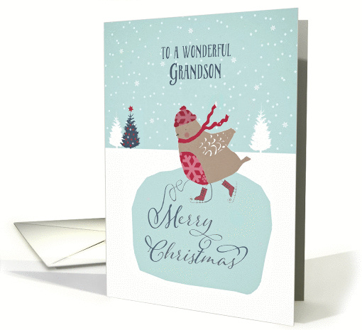 To my wonderful grandson, Christmas card, skating robin card (1312496)