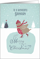 To my wonderful grandson, Christmas card, skating robin card