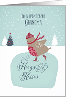 To my wonderful grandma, Christmas card, skating robin card