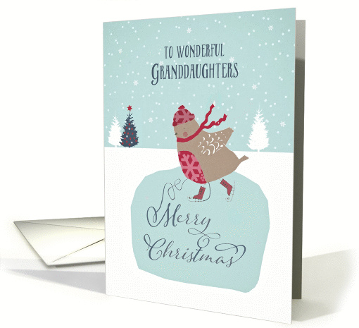 To my wonderful granddaughters, Christmas card, skating robin card