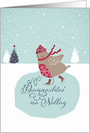 Merry Christmas in Irish Gaelic, Beannachta na Nollag, skating robin card