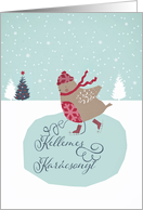 Merry Christmas in Hungarian, Kellemes Karcsonyt , skating robin card