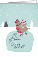 Merry Christmas in Croatian, skating robin card