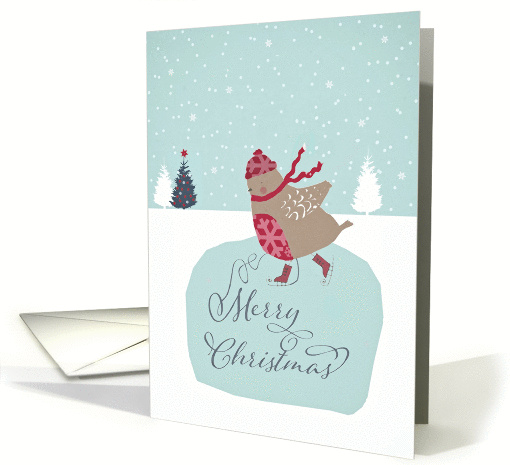 Merry Christmas, cute skating robin card (1315204)