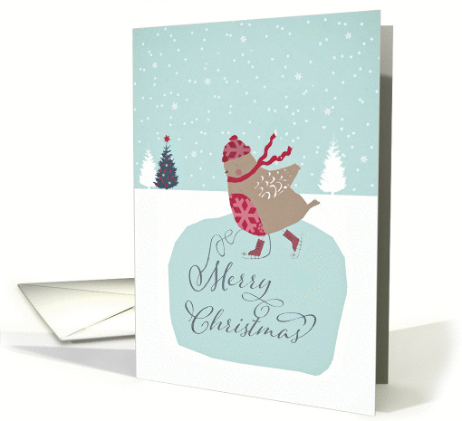 Merry Christmas, cute skating robin card (1315206)