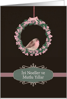 Merry Christmas in Turkish, robin and wreath, illustration card