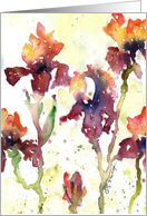 Mauve Iris Isaiah 54:10 card