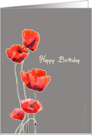 Happy Birthday Poppies Christian Irish Blessing card