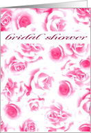 pink roses bridal...