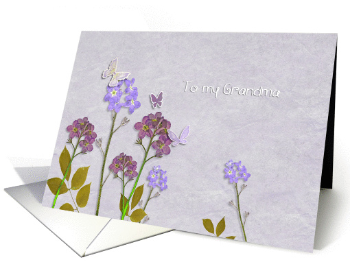 to my Grandma, happy Grandparents Day, flowers and butterflies card
