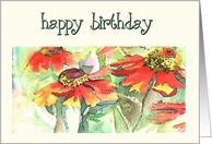  happy birthday echinacea card