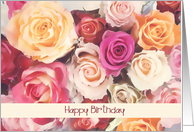 happy birthday, roses card