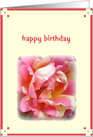 happy birthday pink rose card