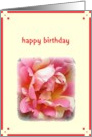  happy birthday pink rose card