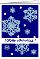 ice snowflakes feliz navidad card