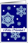 ice snowflakes feliz navidad card