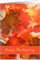 Happy Thanksgiving,...