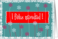 feliz navidad lace snowflakes green red white card